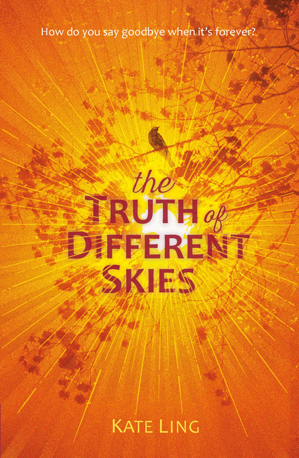 The Truth of Different Skies front cover image